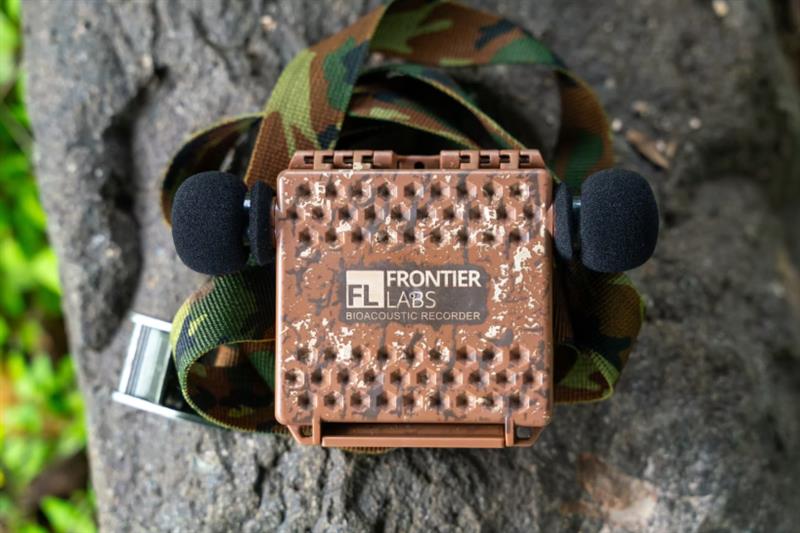 野外动物鸟类鸣声声音记录仪