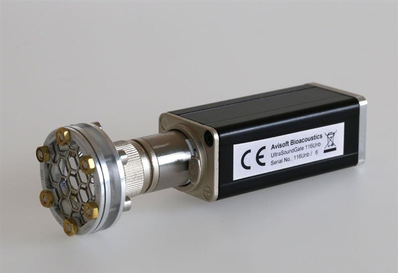 德国Avisoft动物超声声音分析仪