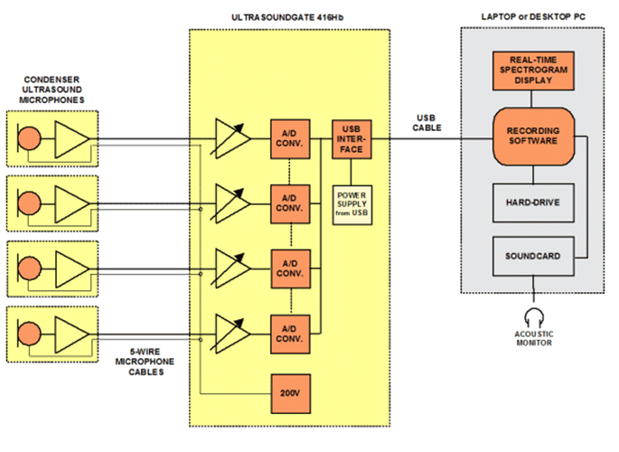 德国Avisoft多通道动物超声声谱录制系统