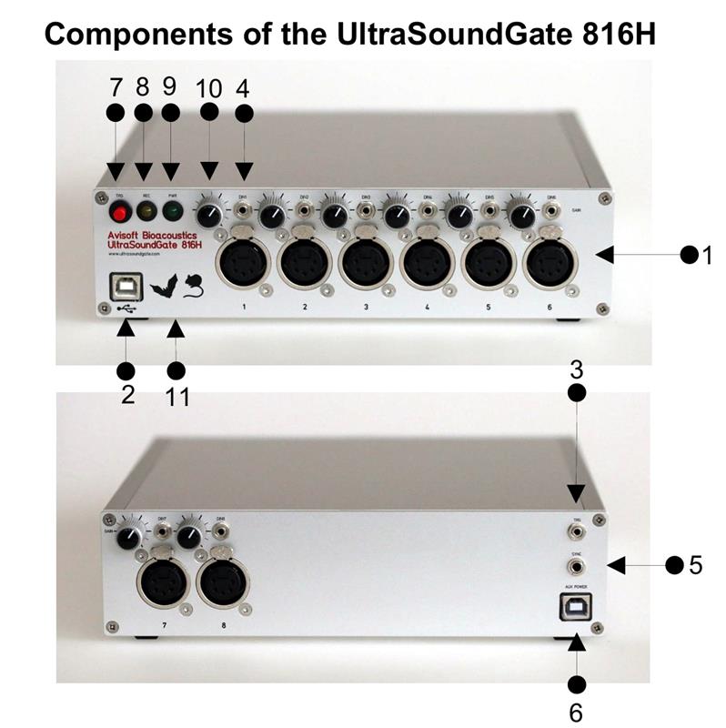 德国Avisoft生物声学记录器