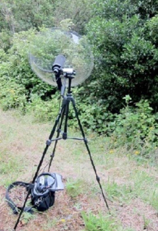 鸟类鸣声记录仪