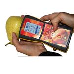 意大利DA-Meter 水果无损检测仪