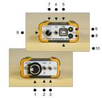 德国Avisoft动物超声录制系统