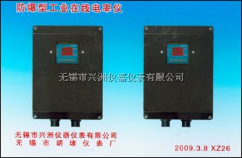 防爆型工业在线电率仪