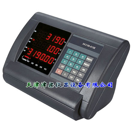 XK3190-A15（E）数码显示器/无线数字模拟台秤仪表/称重显示控制仪表
