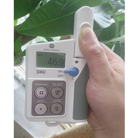 SPAD-502Plus叶绿素计/手持叶绿素仪/叶绿素测定仪/叶绿素检测仪