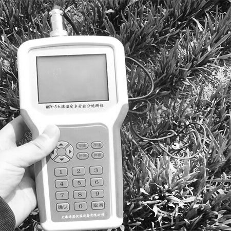 WSY-3土壤温度水分盐分速测仪