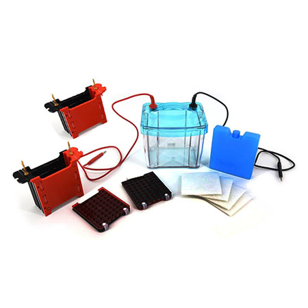 BMCZ-40S四板转印电泳仪