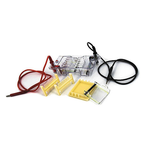 BMCZ-31BN琼脂糖水平电泳仪