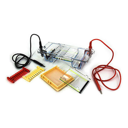 BMCZ-31CN琼脂糖水平电泳仪(小号)