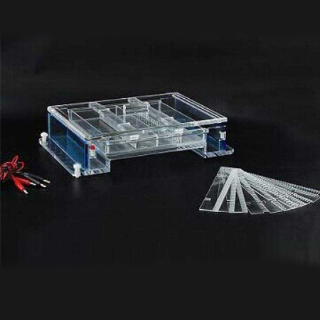 BMCZ-31CN琼脂糖水平电泳槽