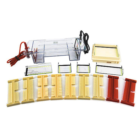 BMCZ-31DN琼脂糖水平电泳仪(小号)