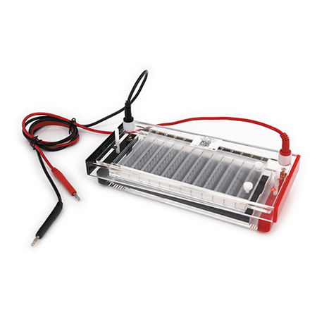 BXCZ-44N快速凝胶电泳仪