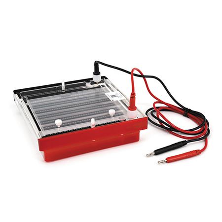 BXCZ-44P快速凝胶电泳仪