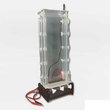 BXCZ-20A型DNA序列分析电泳仪