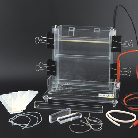 BXCZ-22A单垂直电泳仪