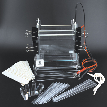 BXCZ-24B加宽双垂直电泳仪