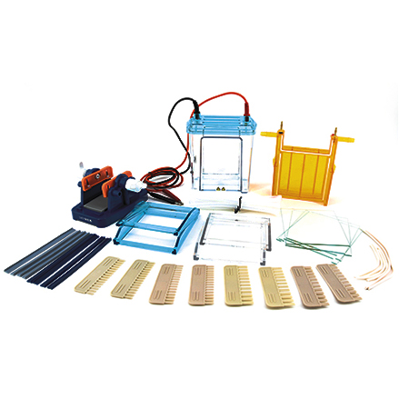 BXCZ-24F双垂直电泳仪(大号)