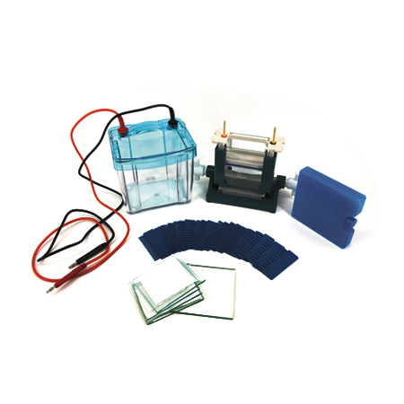 BXCZ-25D双垂直电泳仪