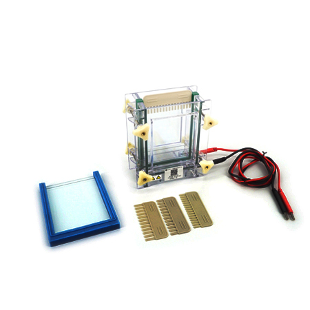 BXCZ-28A/C单板夹芯式垂直电泳仪(小号)