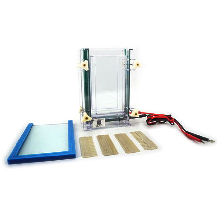 BXCZ-28B/D单板/双板夹芯式垂直电泳仪(大号)