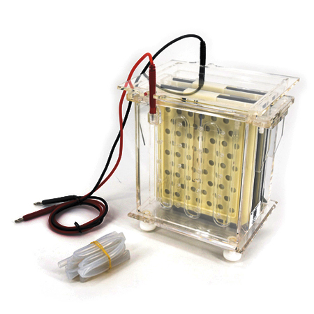 BXCZ-40B转印电泳仪(中号)