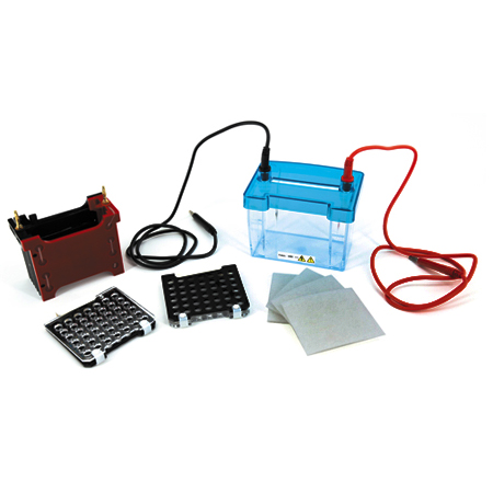 BXCZ-40D转印电泳仪(小号)