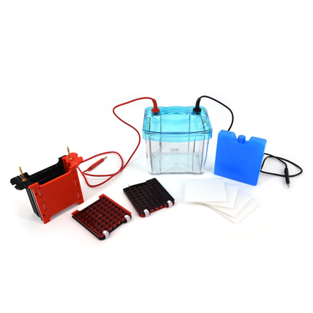 BXCZ-40G转印电泳仪