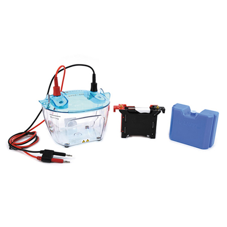 BXCZ-40K转印电泳仪