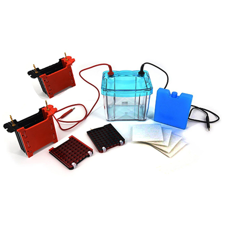 BXCZ-40S四板转印电泳仪