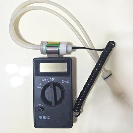 CY-12C数字测氧仪/手持式测氧仪