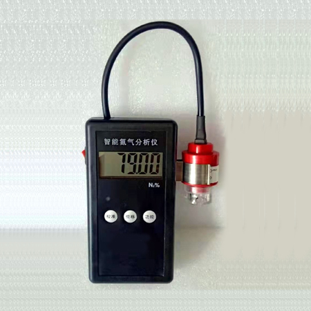 FGZY-20N便携式智能测氮仪/制氮机氮气浓度纯度检测仪/氮气分析仪