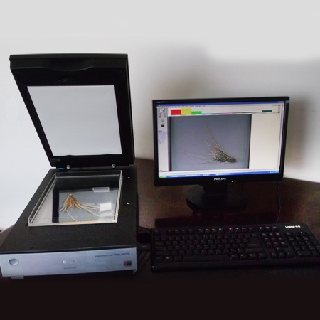 SDC-GX01植物根系分析系统