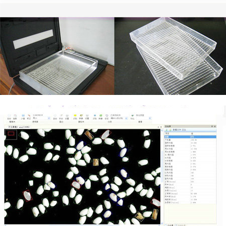 SCE大米外观品质检测仪/稻米品质分析仪米质判定仪