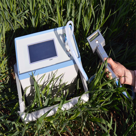 3080H光合测量仪/植物光合仪