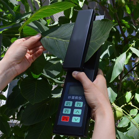 SGL-6手持式叶面积仪
