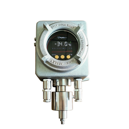 DPT-990EX在线式防爆露点仪