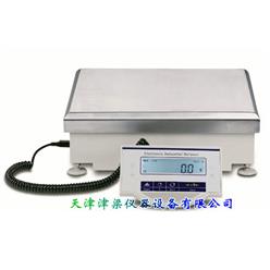 大量程电子天平