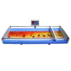 JLQ-S050B婴幼儿身高体重测量仪/婴儿体重秤/智能体检仪