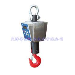 OCS吊钩秤
