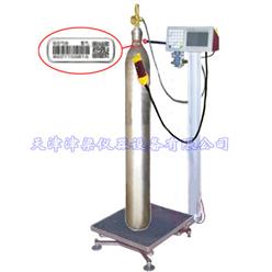 STCS-YG二氧化碳充装电子秤