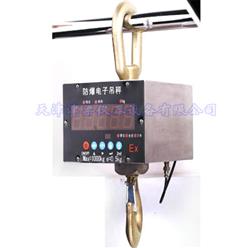 OCS-Ex防爆电子吊秤/吊磅