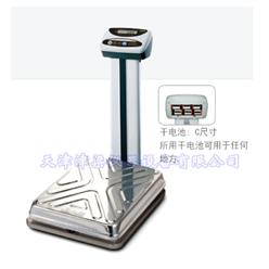 DL-N电子台秤