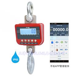 TN-12000无线吊秤