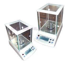 DJ300电子天平0.001g