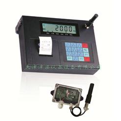 F1称重显示控制器（便携式金属外壳）