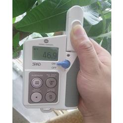 SPAD-502Plus叶绿素计/手持叶绿素仪/叶绿素测定仪/叶绿素检测仪