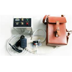 CFZ22A/CFZ3气体自动负压式采样器