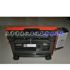 便携式手提秤45kg、50kg、60kg、75kg、100kg、120kg