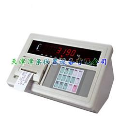 称重仪表XK3190-A9+（P）